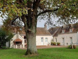 a large tree in a yard in front of a house at Gîte charmant à 30 min d'Amboise - FR-1-381-145 in Saint-Nicolas-des-Motets