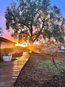 a tree on a walkway next to a house at Zaromelranch deck in Agua Dulce
