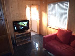 ein Wohnzimmer mit einem roten Sofa und einem TV in der Unterkunft Chalet Abendruh in Grengiols