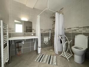 a bathroom with a toilet and a sink and a mirror at Gite du coos in Audaux +42 photos