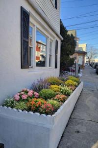 a flower garden in front of a house at Jefferson Sr - 20 mins to Manhattan, NYC in West New York