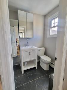 a bathroom with a toilet and a sink and a mirror at Jefferson Sr - 20 mins to Manhattan, NYC in West New York +2 photos