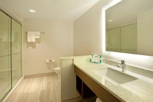 a bathroom with a sink, mirror, and shower stall at Holiday Inn Express Hotel & Suites Austin Downtown, an IHG Hotel in Austin