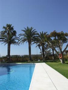 una piscina con palmeras en el fondo en Apartamentos Lual Torrecilla, en Nerja