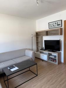 a living room with a couch and a tv at Apart Leitner in Lermoos