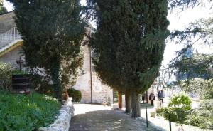 A garden outside Agriturismo Sorgente di Luna