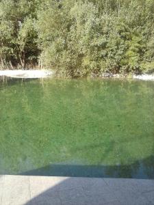 a pool of green water with trees and a sidewalk at Motel and Restaurant Odušak in Drežnjak