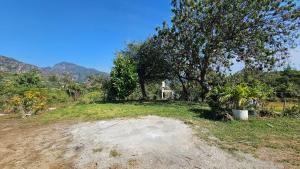 a field with a tree and a dirt road at Hospedaje Tecmilco in Tepoztlán +3 photos