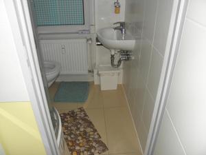 ein kleines Bad mit einem Waschbecken und einem WC in der Unterkunft A&S FerienwohnungenBonner str 49 in Bonn