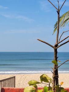 a palm tree on a beach with the ocean at Private Beach - Exotic Sea View Resort in Ganpatipule