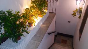 a stairway with potted plants on a white wall at Al Baglio di Maqueda in Palermo