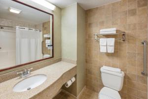a bathroom with a sink and a toilet and a mirror at Quality Inn & Suites Fishkill South near I-84 in Fishkill +25 photos