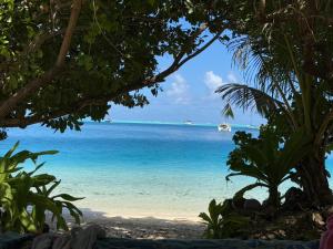 a view of a beach with a boat in the water at Le Petit Coin de EDEN in Parea