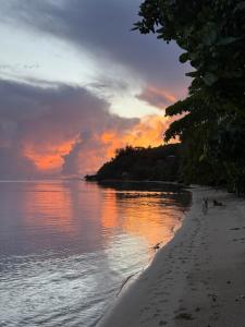 a person walking on the beach at sunset at Le Petit Coin de EDEN in Parea