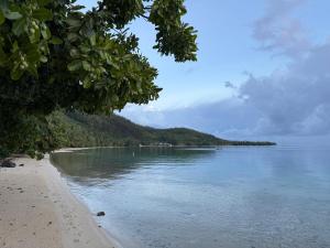a view of a beach with trees and the water at Le Petit Coin de EDEN in Parea