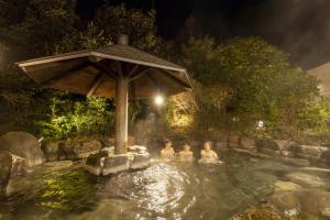 a group of people in a swimming pool at night at Ooedo Onsen Monogatari Premium Seiunkaku in Awara