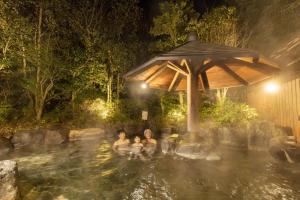 a group of people in a swimming pool at night at Ooedo Onsen Monogatari Premium Seiunkaku in Awara