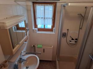 a small bathroom with a sink and a shower at Appartment Huttenberg in Reit im Winkl