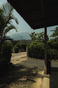 a view of a street with a palm tree and a house at บ้านมนต์รักเชียงดาว in Chiang Dao +16 photos