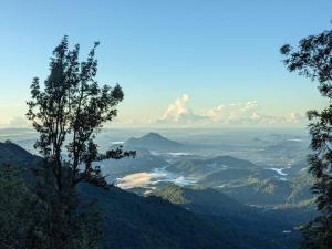 a view from the top of a mountain with trees at Diduli Hotel in Ella