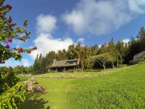 Garden sa labas ng Kohala Lodge- Vacation Rental House