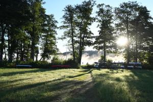 a dirt road in a field with the sun behind trees at Ferienhaus-Park Brennickenswerder in Lychen