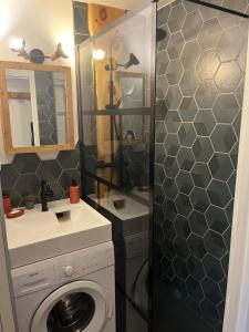 a bathroom with a washing machine and a shower at Ada & Cimes in Bourg-Saint-Maurice