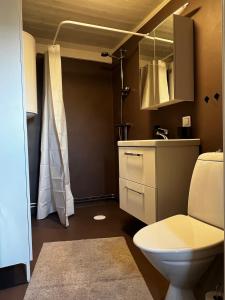a bathroom with a toilet and a sink and a mirror at Little House in Bäckaskog in Fjälkinge