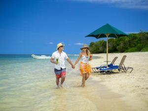 Oaspeți care stau la Green Island Resort