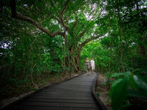 two people walking on a wooden path through a forest at Green Island Resort in Green Island
