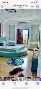a bedroom with two beds and a cat laying on the floor at Luxury hotel t&l in Cẩm Phả