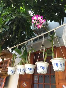 明安花園酒店室外花園