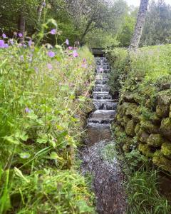 a stone wall next to a stream with flowers at Chalet et étang, exclusivement privée in Manzat