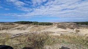 a dirt road in the middle of a field at Bungalowverhuur 't Lappennest in Noordwijk