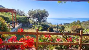 a garden with red flowers and a wooden fence at Sea view villa with large garden in Campo nell'Elba