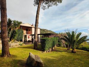 a house with a palm tree and a yard at Sea view villa with large garden in Campo nell'Elba +53 photos