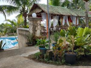 a resort with a swimming pool and a resort with plants at Jupiters Garden Cottages in Lawa-an