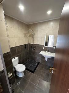 a bathroom with a toilet and a sink at Къща за гости Девина in Devin +113 photos