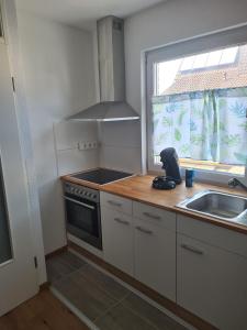 a small kitchen with a sink and a stove at Monstera Apartment in Groß-Umstadt