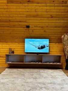 a flat screen tv on a wooden wall at Son-Kul A-Frame & Yurt Camp in Song-Kul