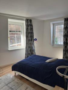 a bedroom with a bed with blue sheets and two windows at Klostergarten in Einsiedeln