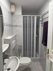 a bathroom with a shower and a toilet and a sink at Klostergarten in Einsiedeln
