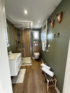 a bathroom with a shower toilet and a sink at Osada Rycerska & Apartamenty Rycerskie in Inowłódz +154 photos