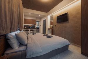 a bedroom with a bed with a television on the wall at Frourio Lodge B2 in Larisa