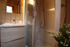 a glass shower in a bathroom with a sink at Chalet 6 pers près du lac de Longemer et des pistes in Xonrupt-Longemer +24 photos