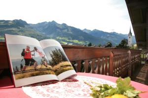 Ein allgemeiner Bergblick oder ein Berglick von der Pension aus