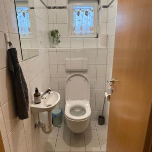 a small bathroom with a toilet and a sink at Chalet Milanovic in Dalaas +36 photos