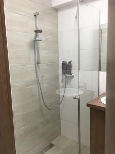 a shower in a bathroom with a glass shower stall at Apartament Nina in Szklarska Poręba