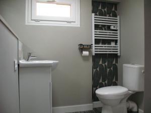 a bathroom with a toilet and a sink and a window at Le Cosy Nid in Leyme +22 photos