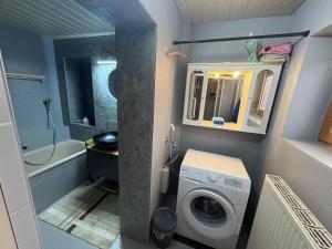 a small bathroom with a washing machine in it at Capybara Guest House in Spittal an der Drau +25 photos